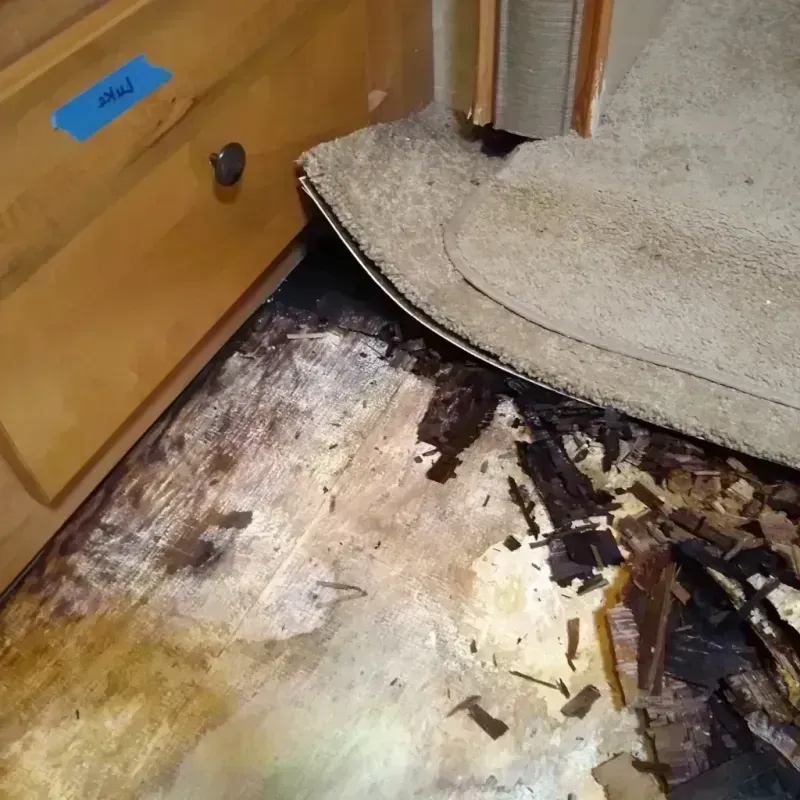 Wood Floor Water Damage in West Milton, OH